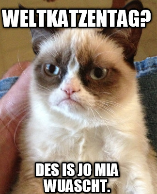weltkatzentag-des-is-jo-mia-wuascht