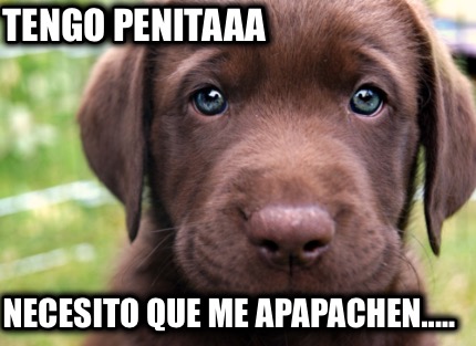 tengo-penitaaa-necesito-que-me-apapachen