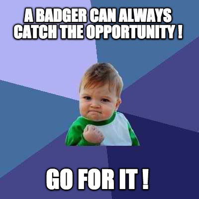 a-badger-can-always-catch-the-opportunity-go-for-it-