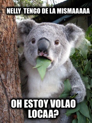 nelly-tengo-de-la-mismaaaaa-oh-estoy-volao-locaa7