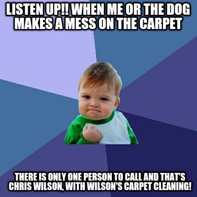 listen-up-when-me-or-the-dog-makes-a-mess-on-the-carpet-there-is-only-one-person