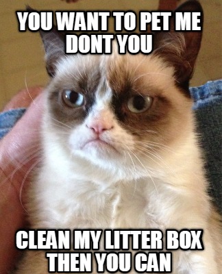 you-want-to-pet-me-dont-you-clean-my-litter-box-then-you-can