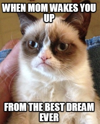 when-mom-wakes-you-up-from-the-best-dream-ever
