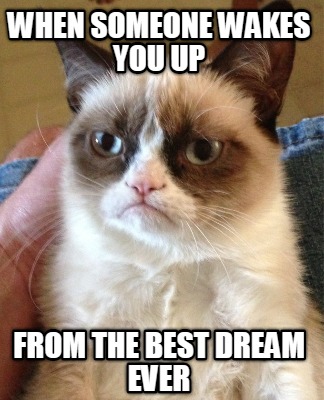 when-someone-wakes-you-up-from-the-best-dream-ever
