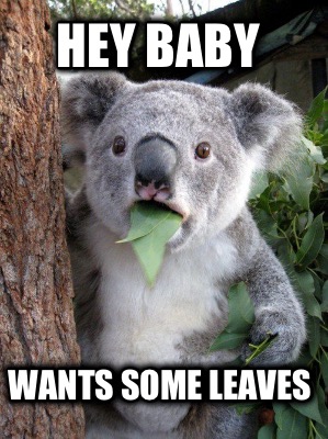 hey-baby-wants-some-leaves
