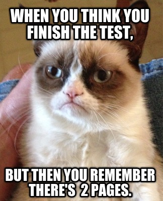 when-you-think-you-finish-the-test-but-then-you-remember-theres-2-pages0