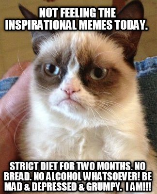 not-feeling-the-inspirational-memes-today.-strict-diet-for-two-months.-no-bread.