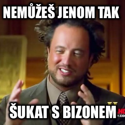 neme-jenom-tak-ukat-s-bizonem