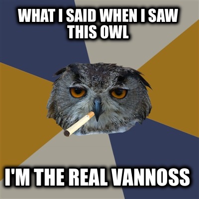 what-i-said-when-i-saw-this-owl-im-the-real-vannoss