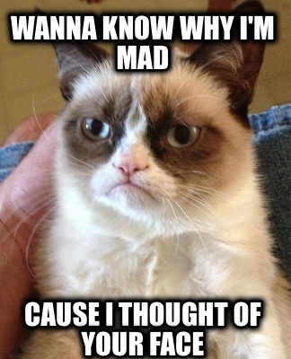 wanna-know-why-im-mad-cause-i-thought-of-your-face
