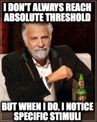 i-dont-always-reach-absolute-threshold-but-when-i-do-i-notice-specific-stimuli