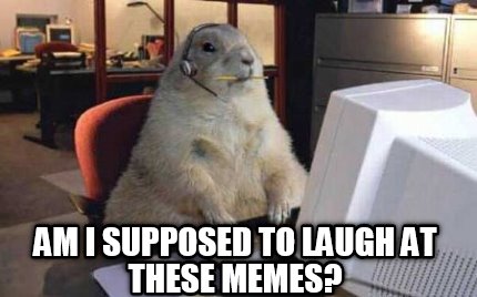 am-i-supposed-to-laugh-at-these-memes