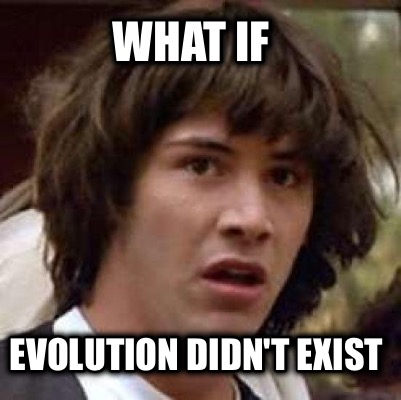 what-if-evolution-didnt-exist