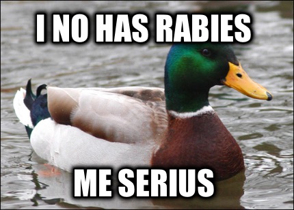 i-no-has-rabies-me-serius