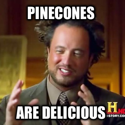 pinecones-are-delicious