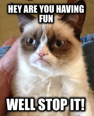 hey-are-you-having-fun-well-stop-it
