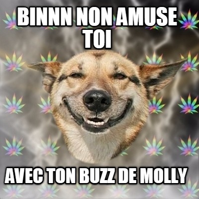 binnn-non-amuse-toi-avec-ton-buzz-de-molly