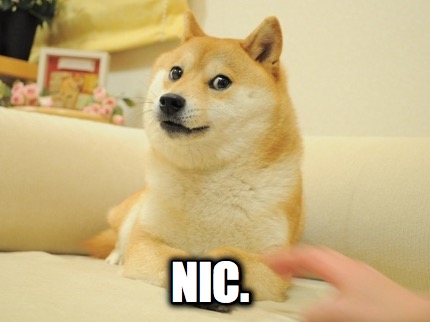 nic