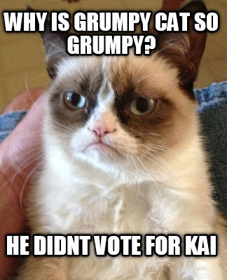 why-is-grumpy-cat-so-grumpy-he-didnt-vote-for-kai
