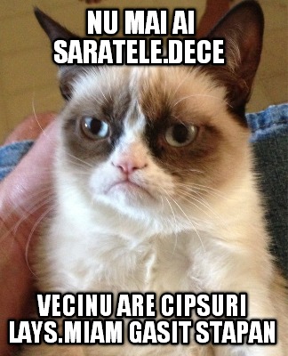 nu-mai-ai-saratele.dece-vecinu-are-cipsuri-lays.miam-gasit-stapan