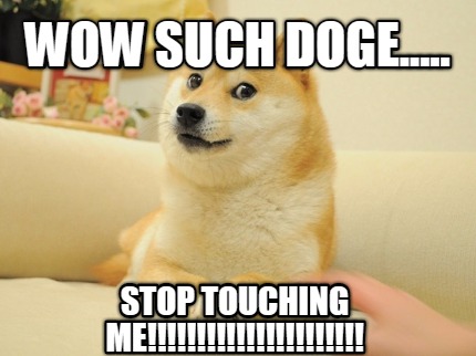 wow-such-doge.....-stop-touching-me