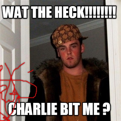 wat-the-heck-charlie-bit-me-