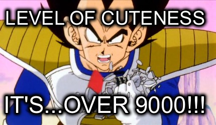 level-of-cuteness-its...over-9000