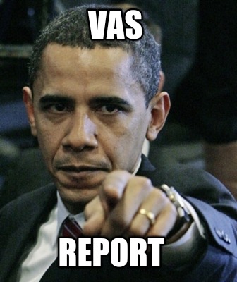 vas-report