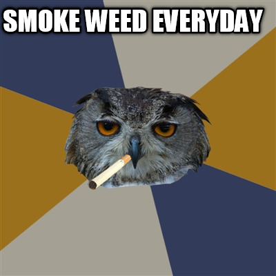 smoke-weed-everyday5