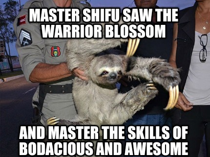 master-shifu-saw-the-warrior-blossom-and-master-the-skills-of-bodacious-and-awes