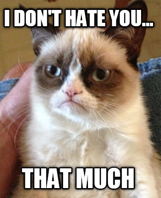 i-dont-hate-you...-that-much