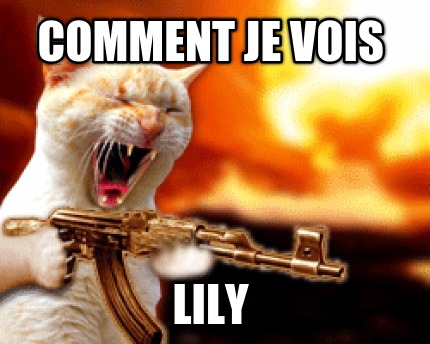 comment-je-vois-lily