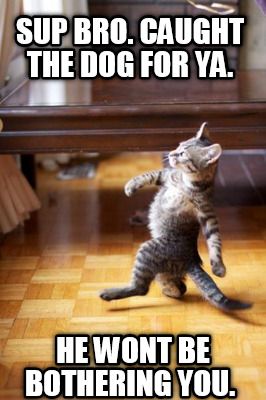 sup-bro.-caught-the-dog-for-ya.-he-wont-be-bothering-you