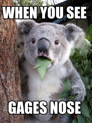 when-you-see-gages-nose6