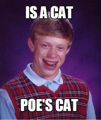 is-a-cat-poes-cat3