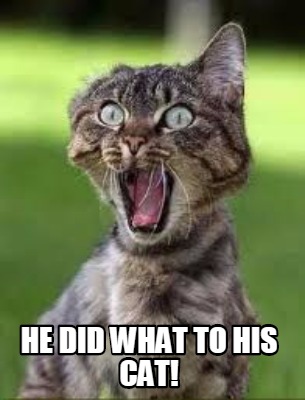 he-did-what-to-his-cat