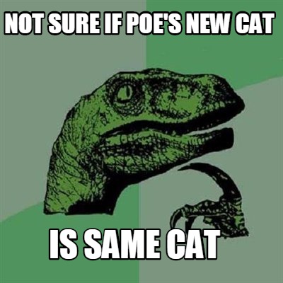 not-sure-if-poes-new-cat-is-same-cat
