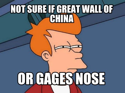 not-sure-if-great-wall-of-china-or-gages-nose
