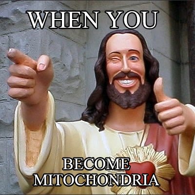 when-you-become-mitochondria