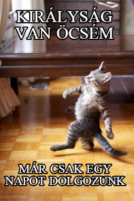 kirlysg-van-csm-mr-csak-egy-napot-dolgozunk
