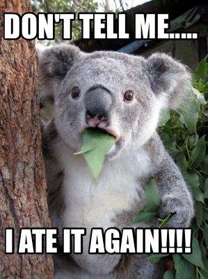 dont-tell-me.....-i-ate-it-again