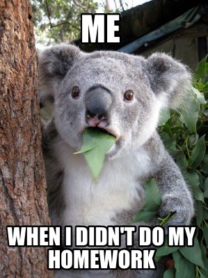 me-when-i-didnt-do-my-homework