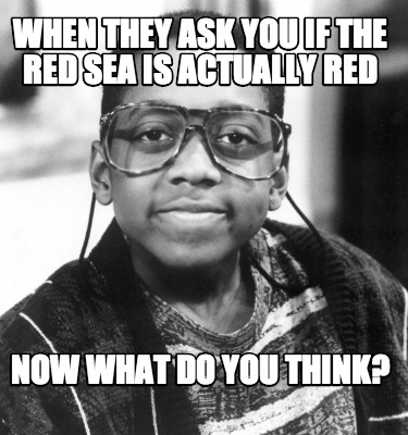 when-they-ask-you-if-the-red-sea-is-actually-red-now-what-do-you-think1