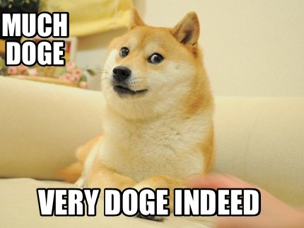 much-doge-very-doge-indeed