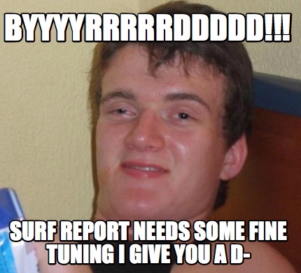 byyyyrrrrrddddd-surf-report-needs-some-fine-tuning-i-give-you-a-d-