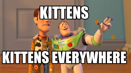 kittens-kittens-everywhere