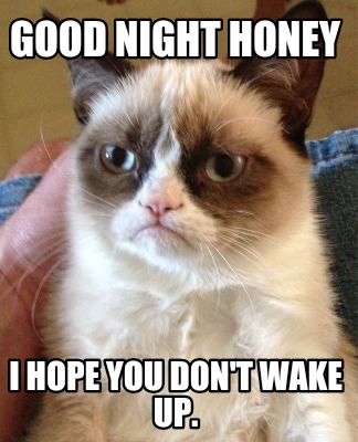 good-night-honey-i-hope-you-dont-wake-up