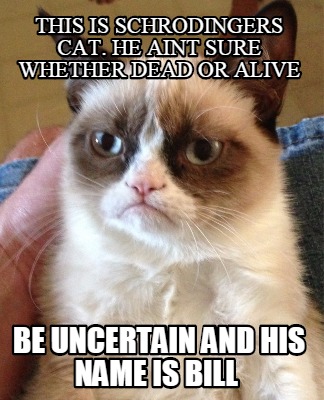 this-is-schrodingers-cat.-he-aint-sure-whether-dead-or-alive-be-uncertain-and-hi