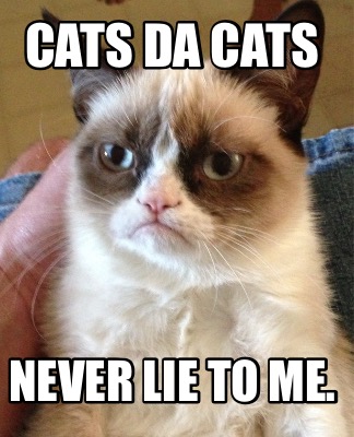 cats-da-cats-never-lie-to-me
