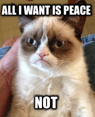 all-i-want-is-peace-not